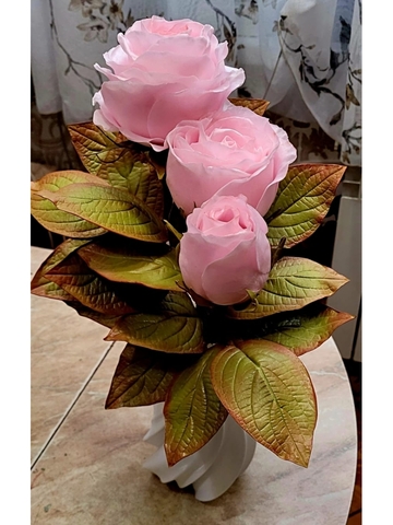 Молд пластиковый+вайнер силиконовый 