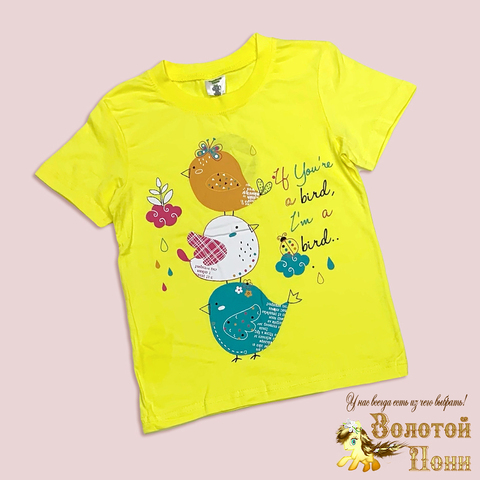 Футболка хлопок д (5-8) 251108-A1371