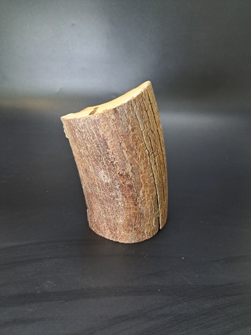 Бивень мамонта для коллекции и поделок