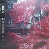 FOALS: Everything Not Saved Will Be Lost Part 1 (Виниловая пластинка)