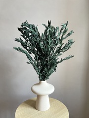 Эвкалипт Парвифолия стабилизированный зеленый