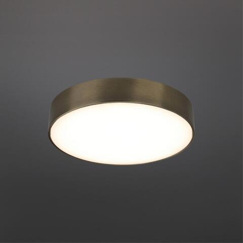 Потолочный светодиодный светильник Aployt Evon APL.0114.29.24