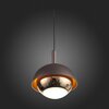 Светильник подвесной ST Luce Entolla SL1602.323.01