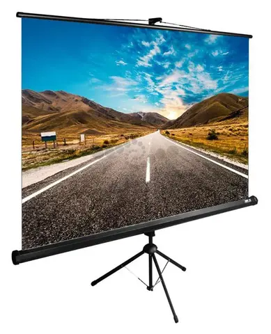 Экран Cactus 160x160см TriExpert CS-PSTE-160x160-BK 1:1 напольный рулонный черный