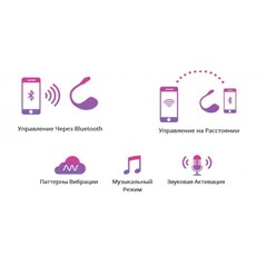 Виброяйцо с приложением для пар Lovense 