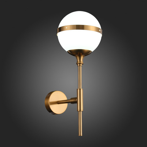 Светильник настенный ST Luce Arbe SL1157.301.01
