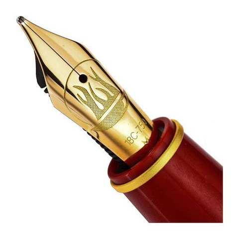 Ручка перьевая Pelikan Fire LE (975417)