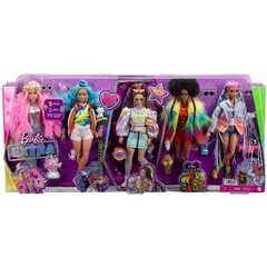Коллекционный набор кукол 5 шт. Barbie Extra (уцененный товар)