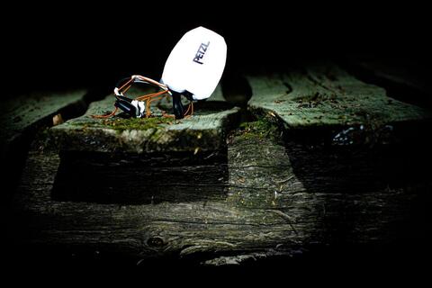 Картинка фонарь налобный Petzl Actik 2022 синий - 7