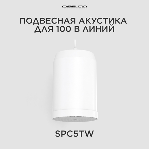 CVGAUDIO SPC5TW Подвесной широкополосный громкоговоритель