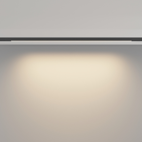 Трековый светильник Maytoni Basis TR190-1-10W3K-B