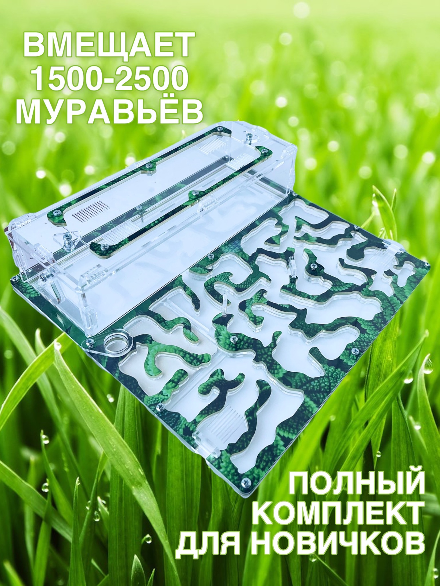 Муравьиная ферма с муравьями - купить недорого в Москве в kormstroytorg.ru