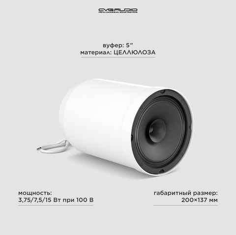 CVGAUDIO SPC5TW Подвесной широкополосный громкоговоритель