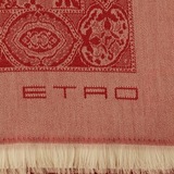 Плед из шерсти ETRO