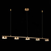 Светильник подвесной ST Luce Pances SL6000.303.05