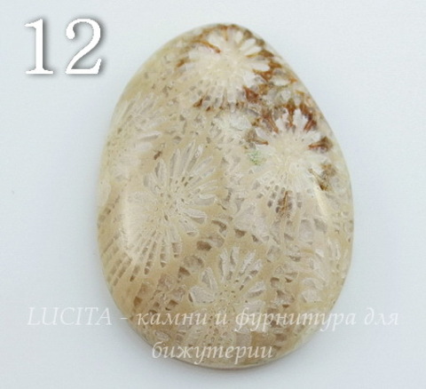 Кабошон Коралл (№12 (30х22 мм))