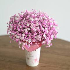 Композиция «Букет белых диантусов» — розовая гипсофила в стаканчике