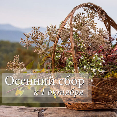 Сбор ко Дню пожилого человека (1 октября)