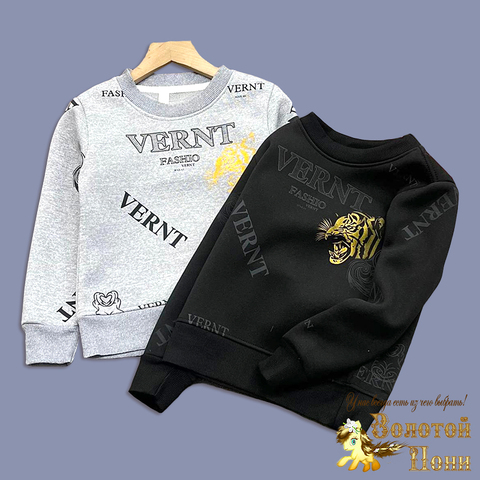 Свитшот хл/начес м (5-9) 250830-DN124