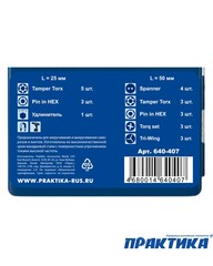 Набор бит ПРАКТИКА Профи 25 шт. ПРО (640-407)