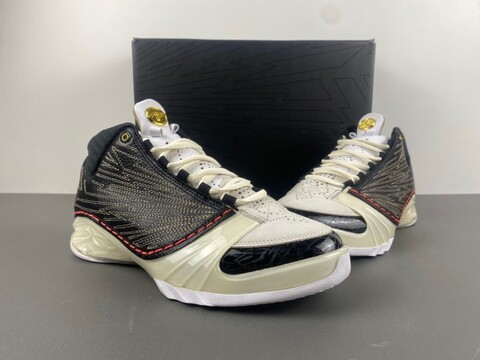 Titan x Air Jordan 23 Retro SP '10th Anniversary' 