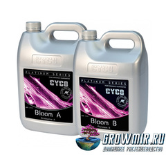 CYCO Platinum Series Bloom A and Bloom B 5л