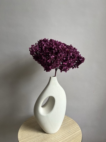 Гортензия стабилизированная фуксия