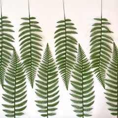 Папоротник, зелень искусственная, 56 см., набор 10 веток.