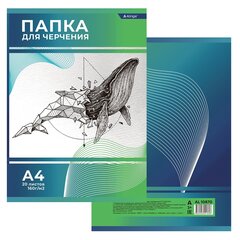 
          Папка для черчения А4 20л., Alingar, без рамки, целлюлозный картон, 160г/м2, "Кит"