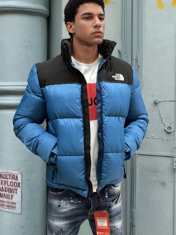 Куртка The North Face 374982blue