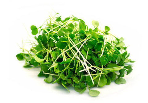 Микрозелень подсолнечника, 125г