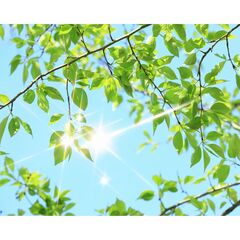 Панель потолочная ПВХ Novita 3D Анэт