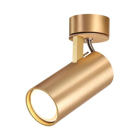 Потолочный светильник Odeon Light Kiko 3876/1C