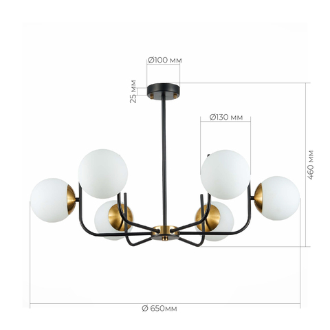 Светильник потолочный Evoluce Ciane SLE1098-402-06