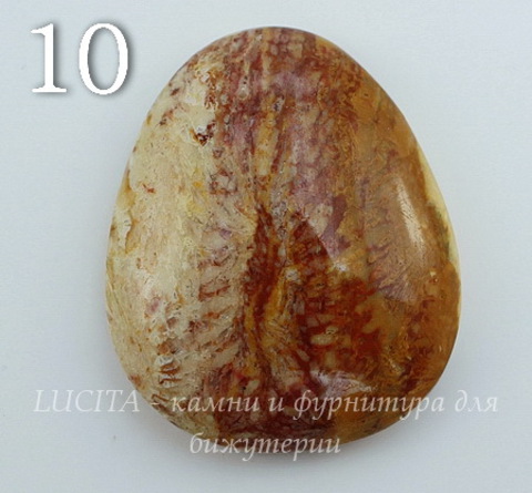 Кабошон Коралл (№10 (32х26 мм))