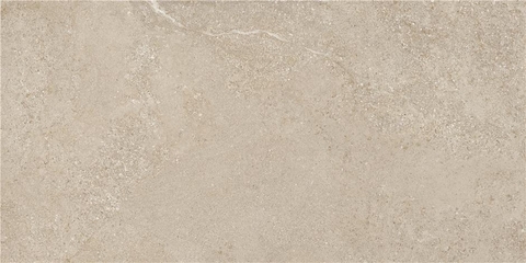 STN Arenite Natural Matt 60x120