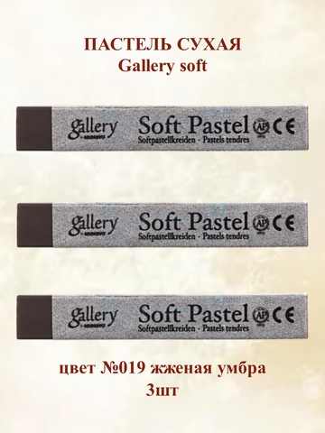 Пастель сухая мягкая профессиональная MUNGYO Gallery №019 жжёная умбра (3шт)