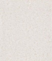 Обои Одуванчики 2 фон С25БР Брянск