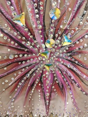 Купальник для выступлений.