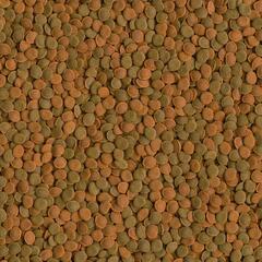 Tetra Wafer Mix корм для травоядных, хищных и донных рыб с добавлением креветок (пластинки) 250мл