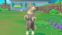 My Universe - Puppies & Kittens (для ПК, цифровой код доступа)