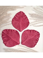 Молд пластиковый С-16 лепесток гладиолуса 11,5х10см