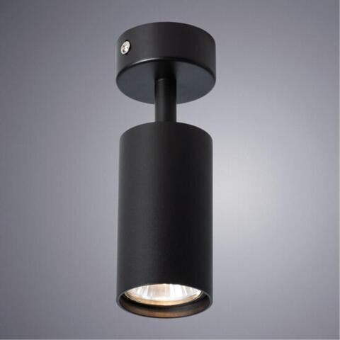 Накладной светильник Arte Lamp AQUARIUS A3216PL-1BK