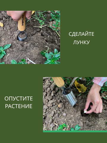 Конус садовый Berry&Bird для посадки рассады и луковичных растений