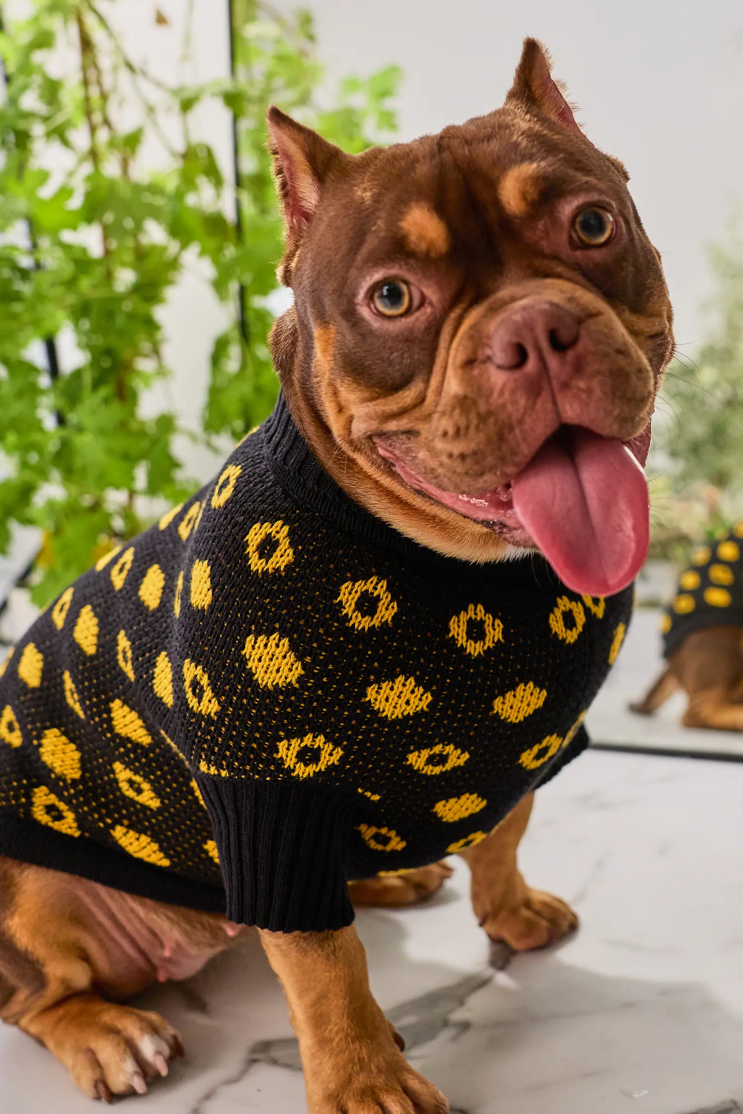 Кофточка для собачки «Свой узор»