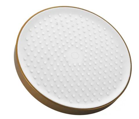 Лейка верхнего душа D 255мм BELZ BD01-5 брашированное золото