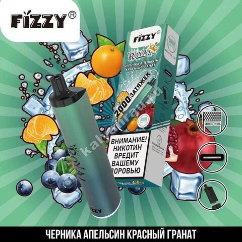 Fizzy Royal Черника Апельсин Красный Гранат