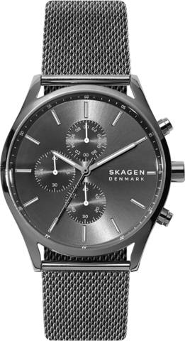 Наручные часы Skagen SKW6608 фото
