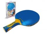 Ракетка для н/т Double Fish V1 series plastic (blue) фото №1