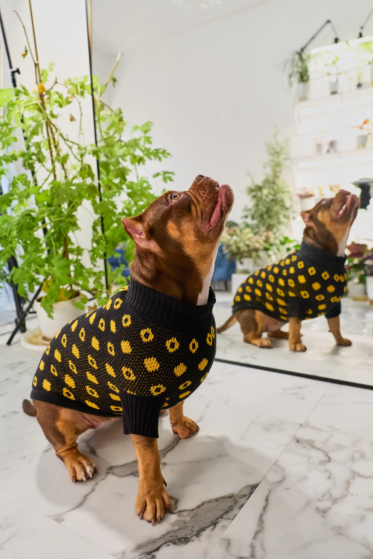 Кофточка для собачки «Свой узор»